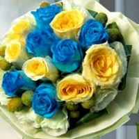 Blue & yellow Roses