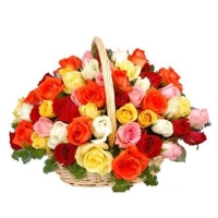 Basket Of Rainbow Roses