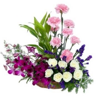 Carnation, Roses, Orchids Basket